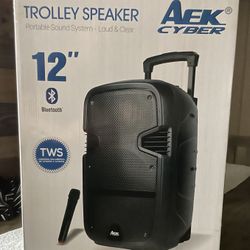 12” AEK CyBer Bluetooth Rechargeable Speaker With Microphone & LED Display Lights 🔊🎤🎶