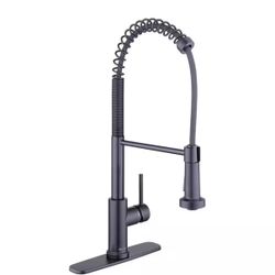 Kitchen Faucet
