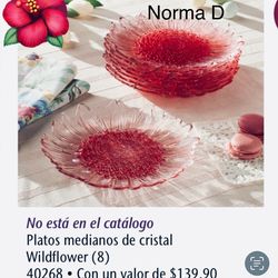 Set de Platos medianos Wildflower nuevos en sus cajas 🌺 princess house 🌺