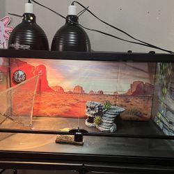 40 Galloon Tank Starter