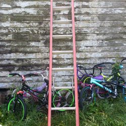 Louisville 24 Foot Ladder