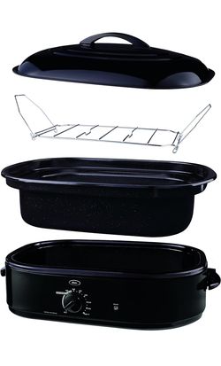 Roaster Deep Fryer