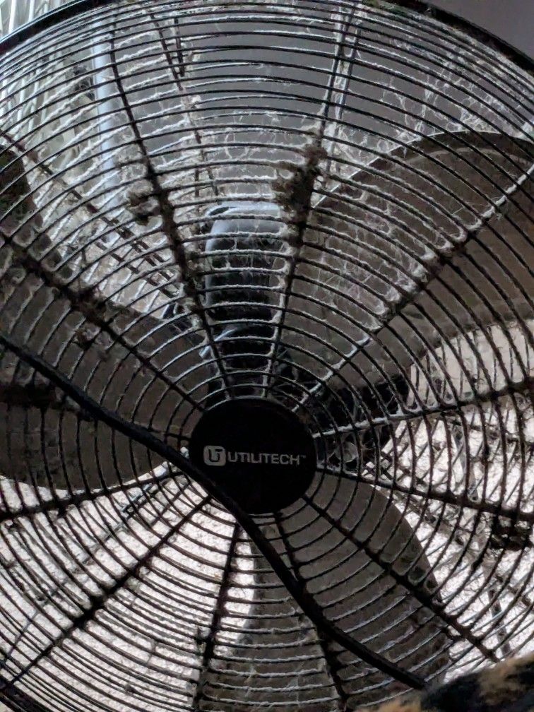 Fan