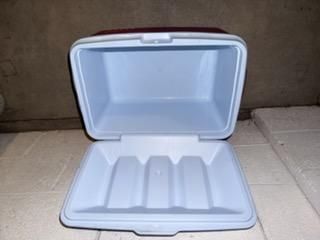 Igloo ice chest