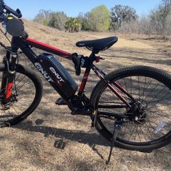 QNUT E-BIKE 36V 350W 