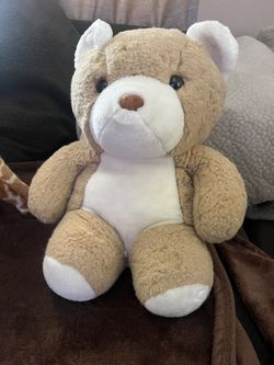 Teddy Bear 🧸 $10.00