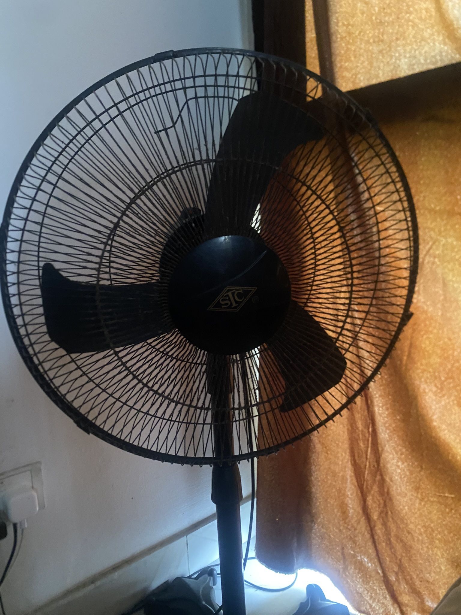 Fan