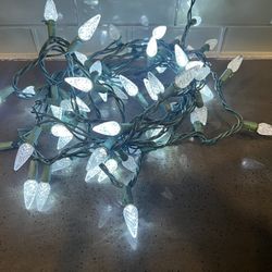 2-Christmas Lights 14 Ft Each