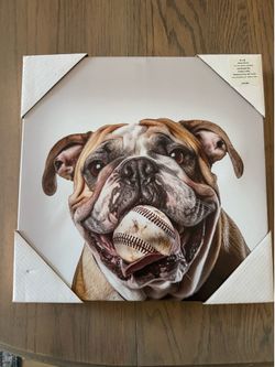 Bulldog Baseball Picture