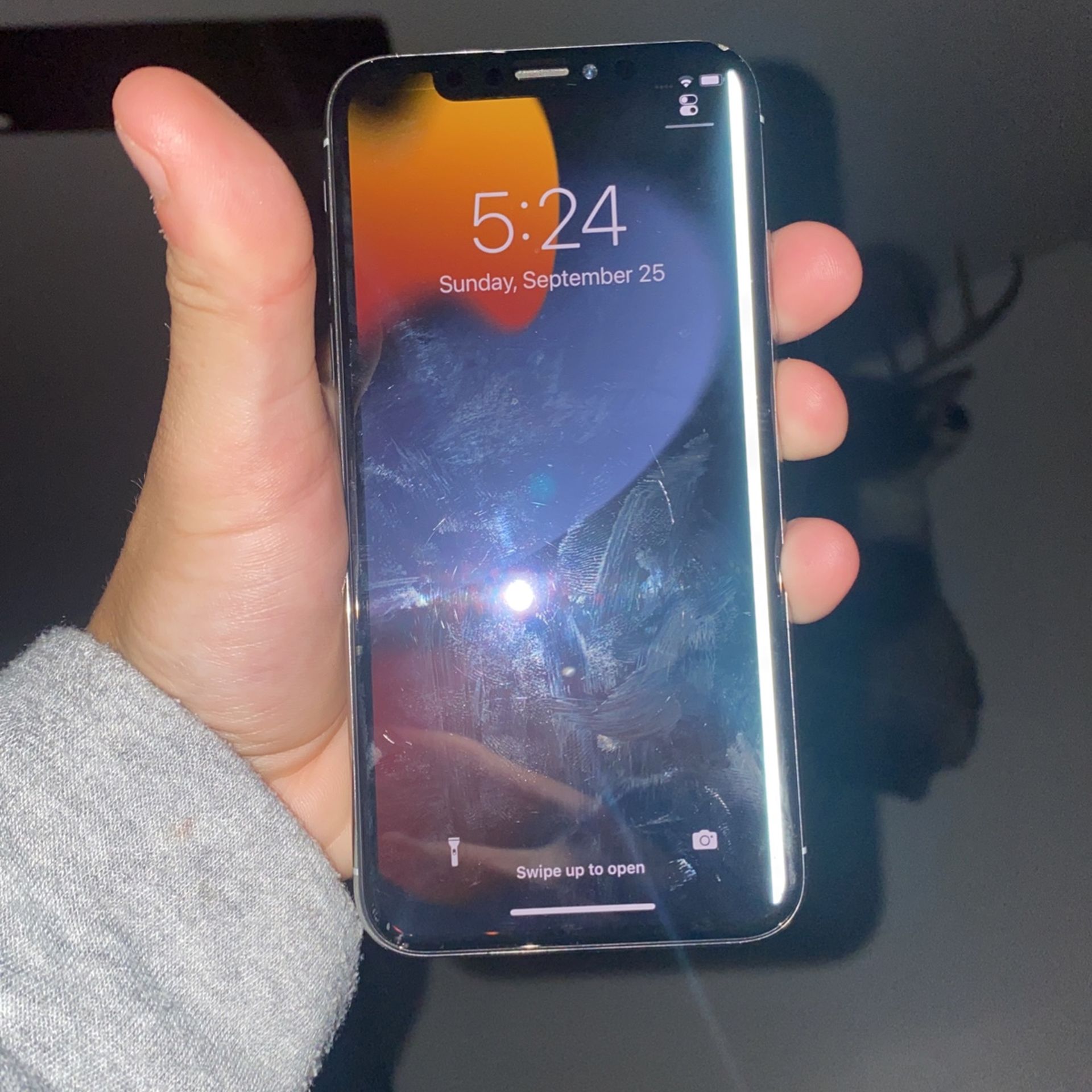 iPhone X
