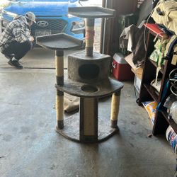 Cat Tree