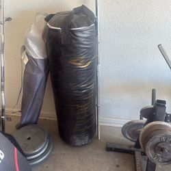 Punching Bag 