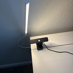 1080p Logitech webcam plus desk light