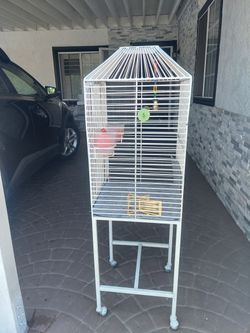 Bird House