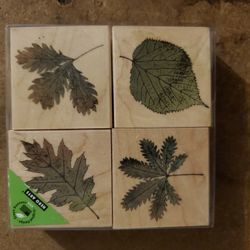 Leaf Stamps for Scrap Booking, Invitations, Arts and Crafts.