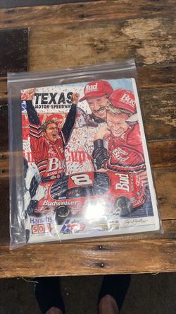 Dale Earnhardt jr and dale senior