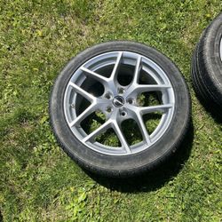 Rims and Tires 
