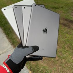 iPads 5 / 6 / 8 / Pro