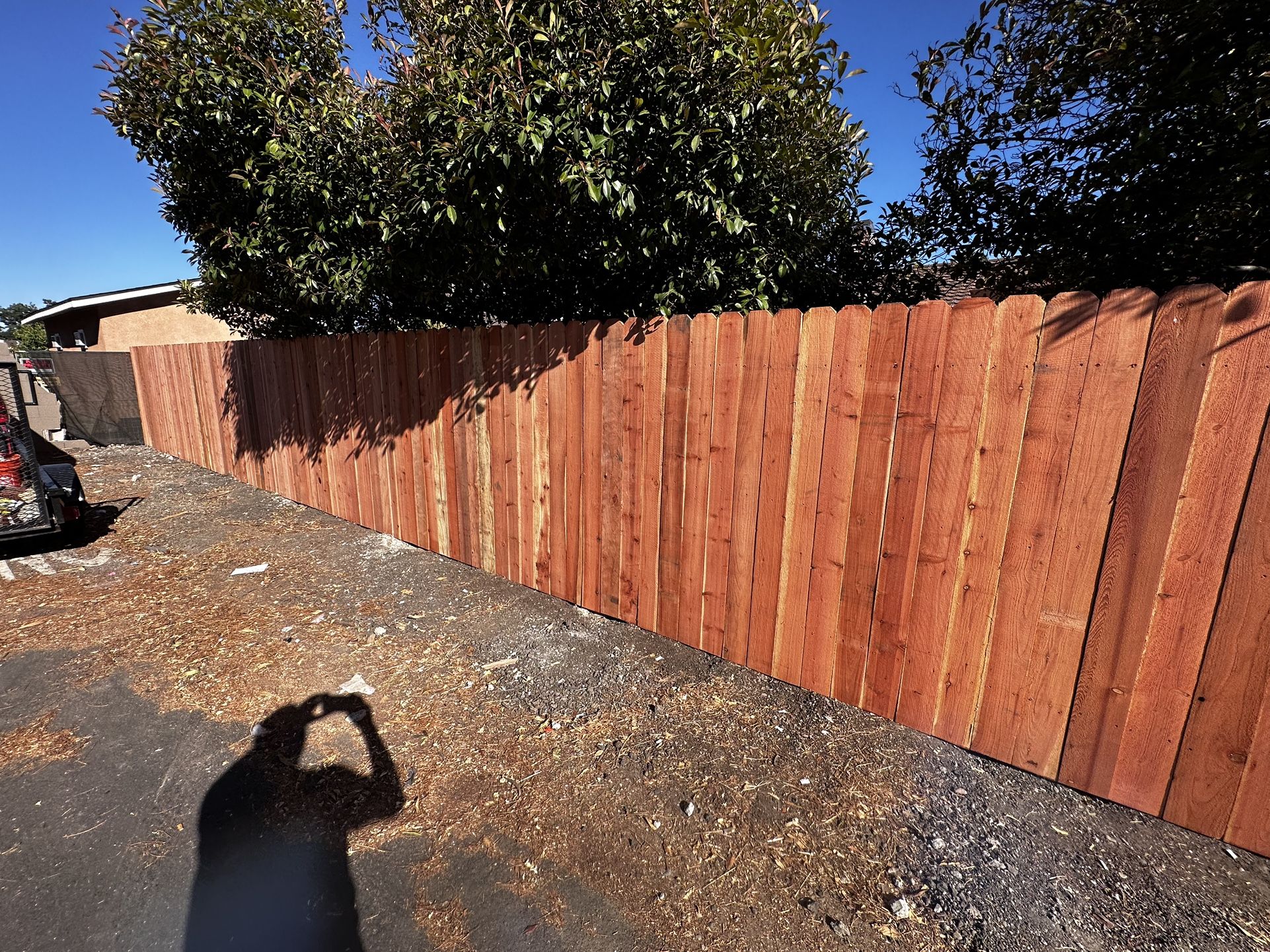 Redwood Fence