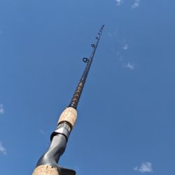 Penn Squadron Fishing Rod