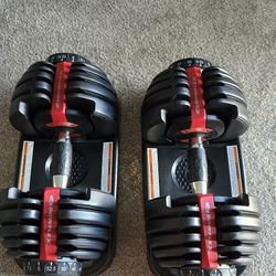 Bowflex Dumbbells 552