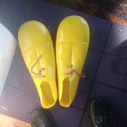 Clown Shoes