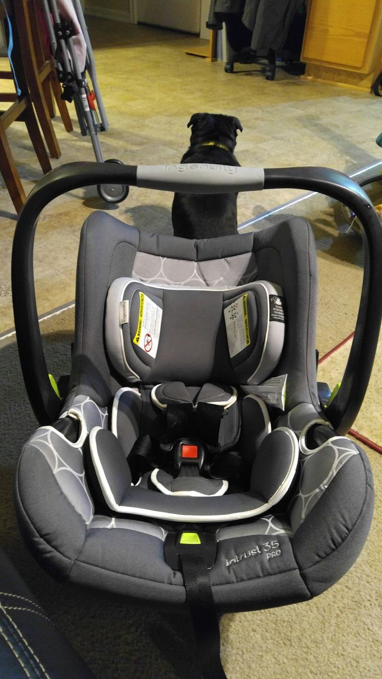 Ingenuity Intrust 35 Pro infant carseat with base