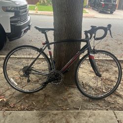 Road Bike (10 Speed) 