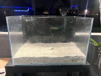 Lifeguard fish tank