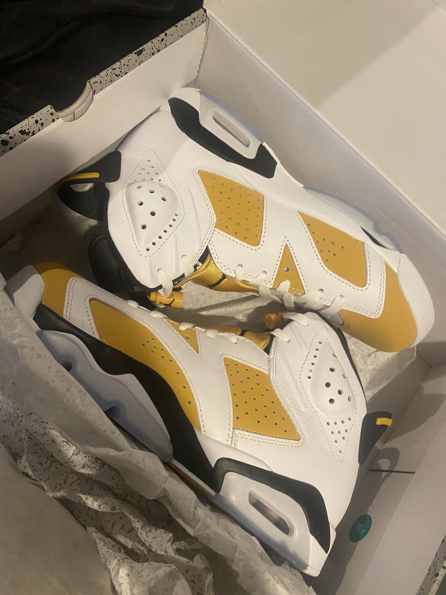 Jordan’s 6 Retro