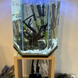 30 Gallon Hexagon Aquarium *NO FISH*