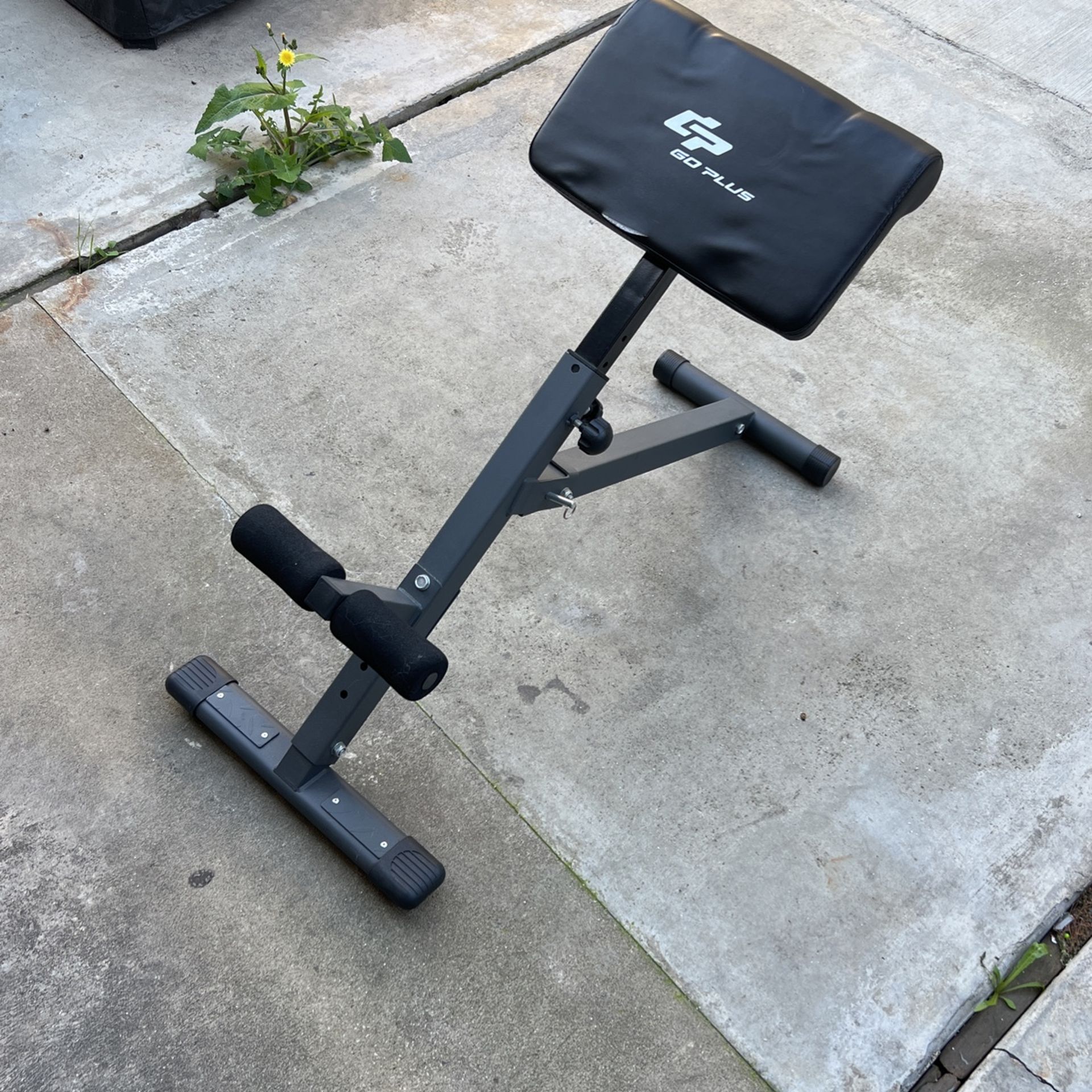 Go Plus Ab-Workout Roman Chair Gym Equipment