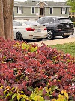 2016 BMW 4 SeriesGran Coupe