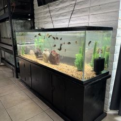 Fish Tank Aquarium 125 Gallon 