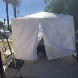Tarp