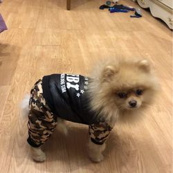 Camo Dog Winter  Warm Coat Jacket