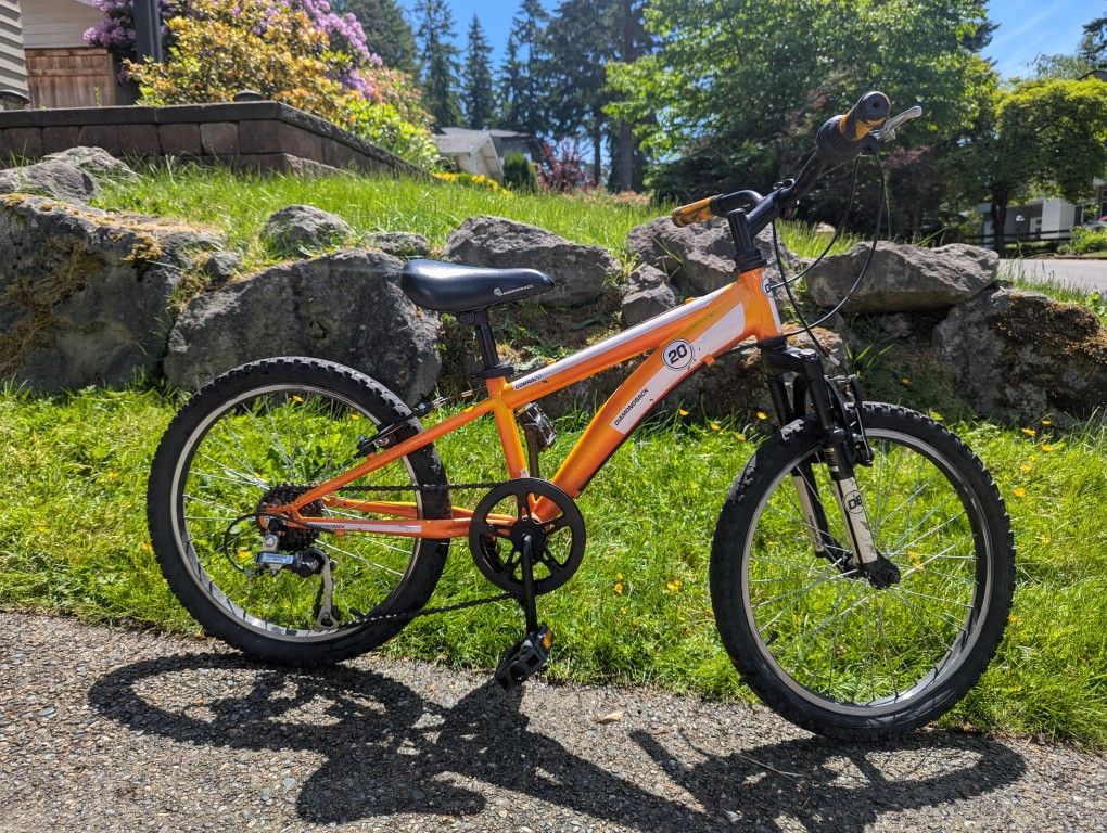 Kids Mountain Bike - 20"