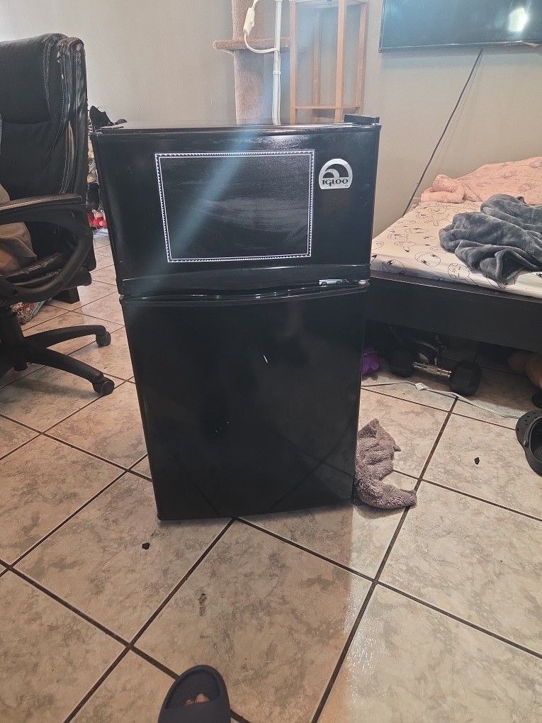 Igloo Mini Fridge With Freezer