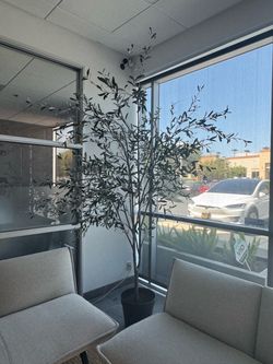 Pottery barn faux olive tree