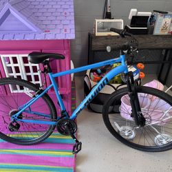 schwinn Copeland Mountain Bike 