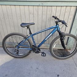 Bike The Mountain Size 26"