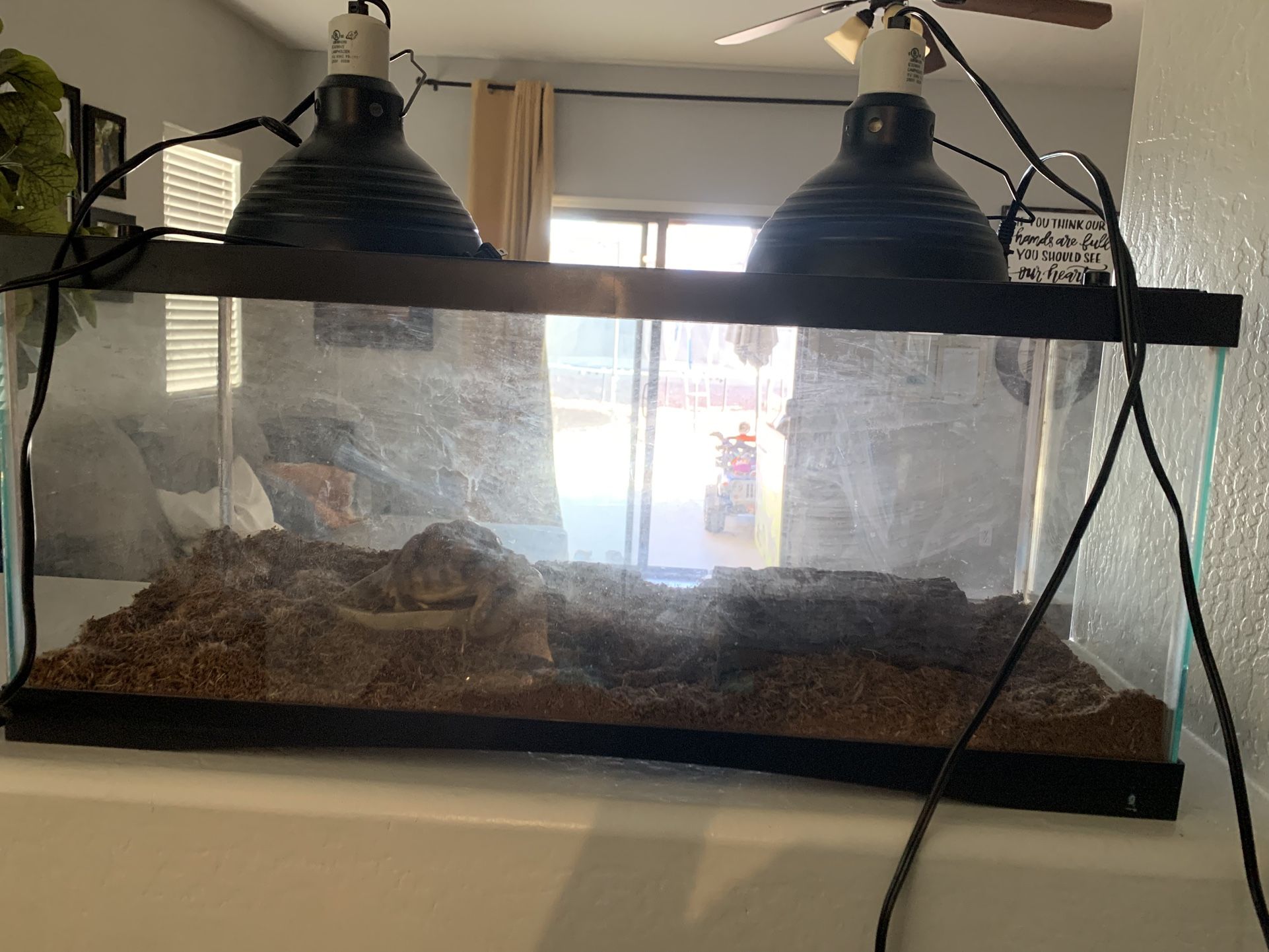Reptile Tank