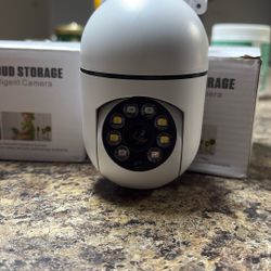 Security Cameras