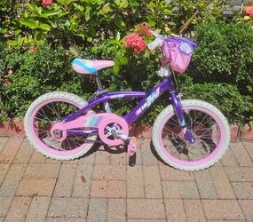 20 inch Bicycle