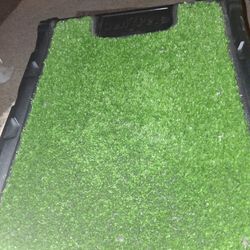 Gen 7 Foldable And Carryable Pet Ramp