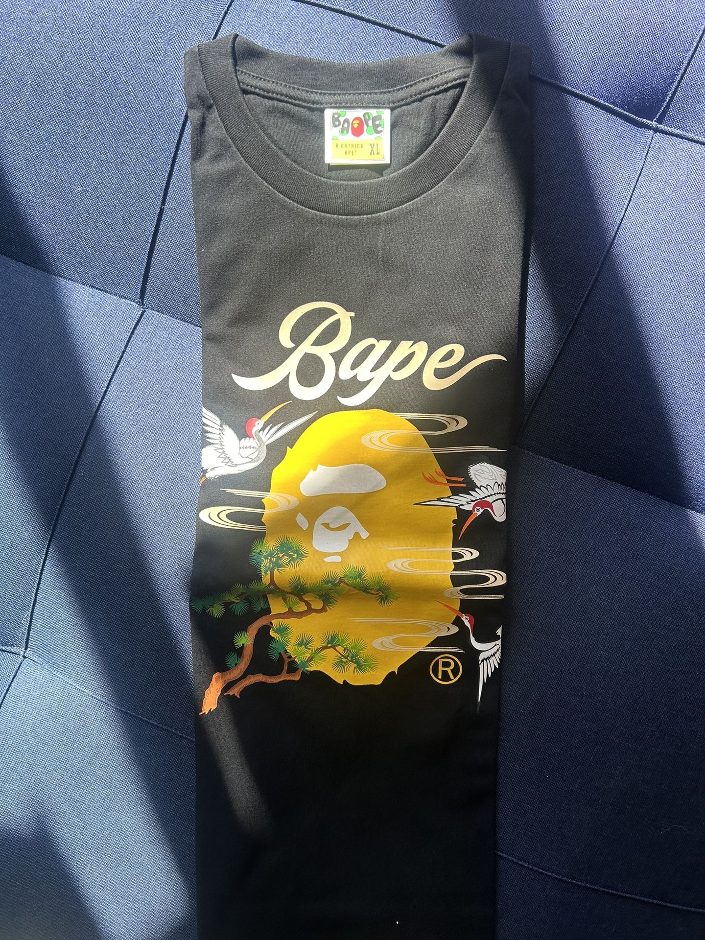 Bape T-shirt (Japan Culture)