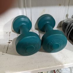 2 Lb Weights 