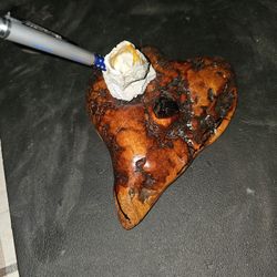 Mansenita Old Growth Hart With Big Barnacle Pen Holder