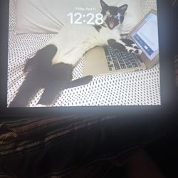 Apple iPad 5th Generation