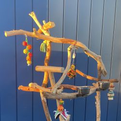 Thick And Big Macaw Perch Tree … A Great Socializer For That Gnarly Macaw !! 